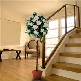 fwthumbROSE TREE.jpg